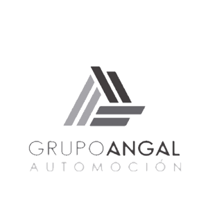 grupo angal