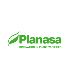 Planesa logo