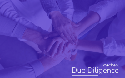What is Due Diligence?
