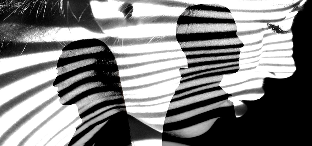 Shadowfaces los rasgos faciales imprescindibles en el reconocimiento facial