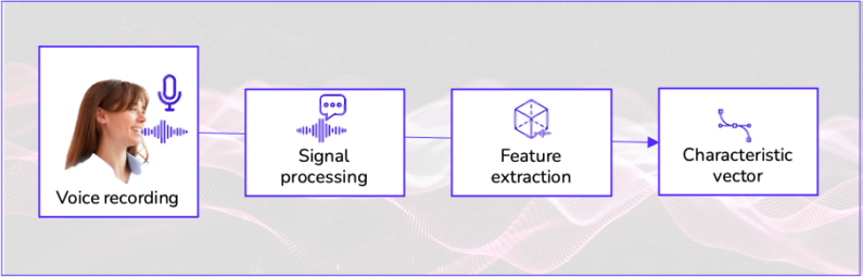 process of vector generation