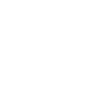GDPR-BLANCO