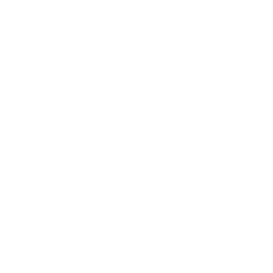 STIC-BLANCO