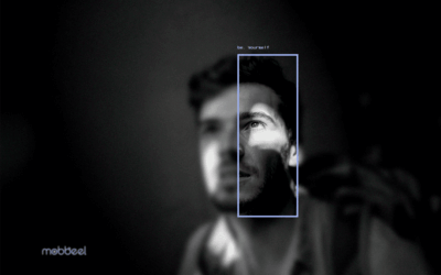 Somos biometría, somos Mobbeel